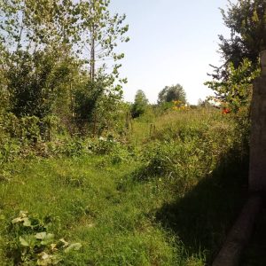 فروش زمین مسکونی رودسر روستا سالومحله