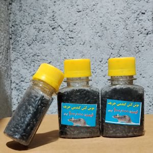 دارو موش گندمی