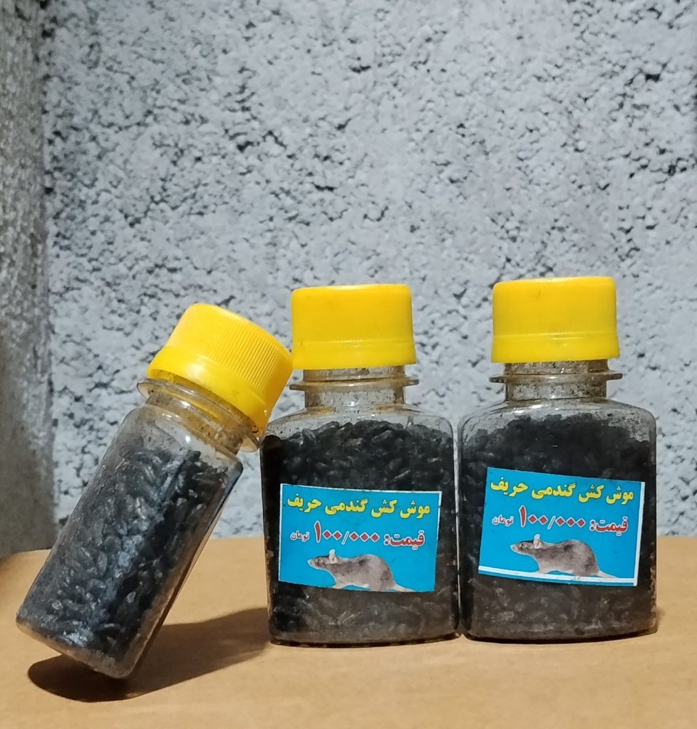 دارو موش گندمی